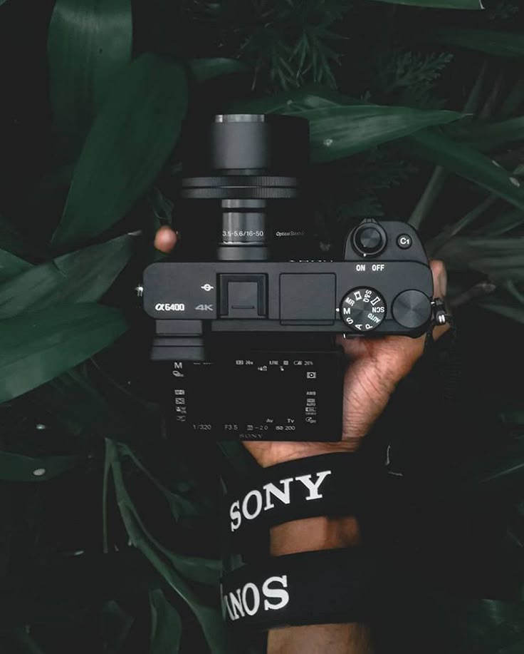 sonny photography camera